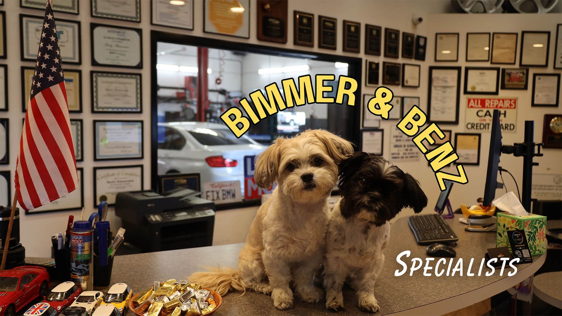 Gallery Image | Bimmer and Benz Specialists