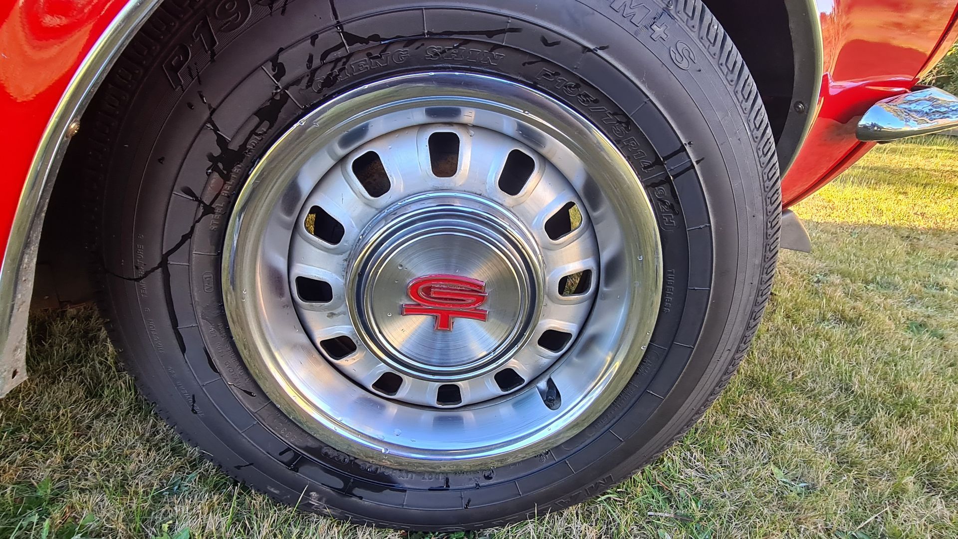 Red Car Tire with A Silver Rim and Center Cap with A Red Logo, Parked on Grass — Autoplus Professionals Picton in Picton, NSW
