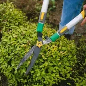 marcos-gardening-lawn-garden-maintenance