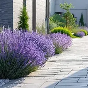 marcos-gardening-landscaping-design-hardscape-image