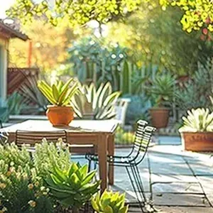 marcos-gardening-tree-service-north-county-image