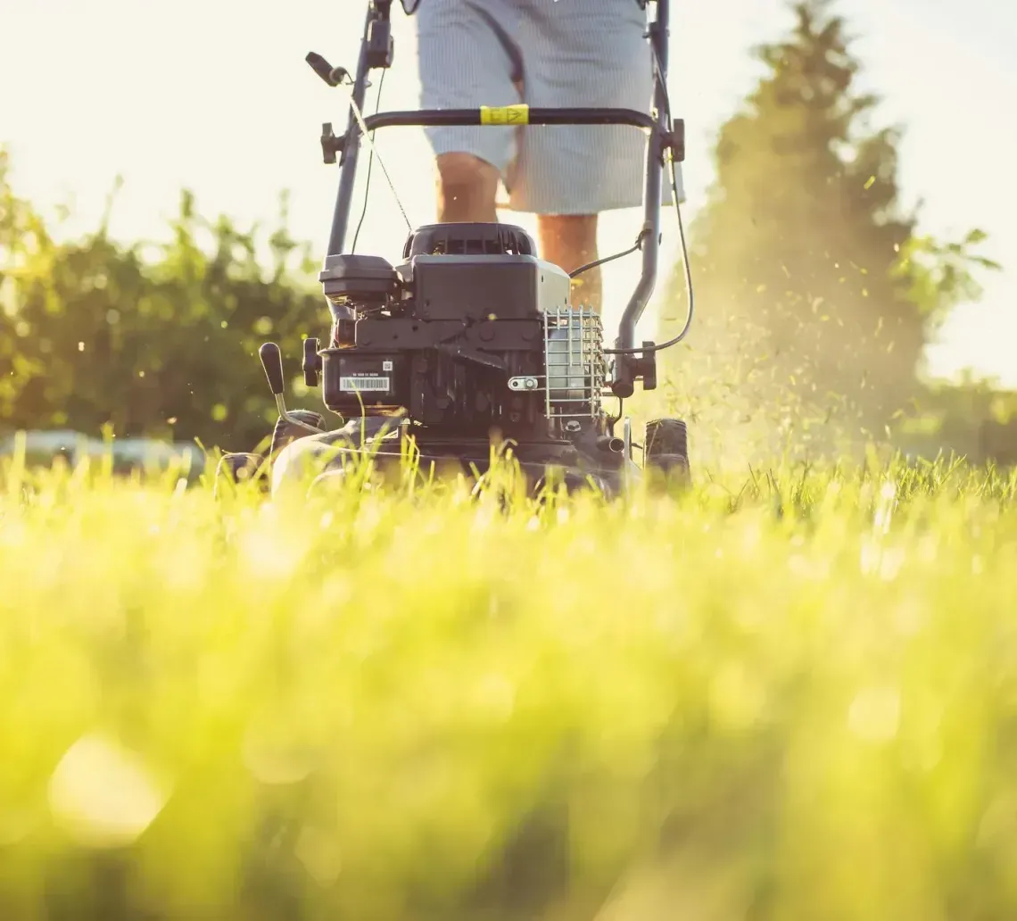marcos-gardening-tree-service-north-county-image