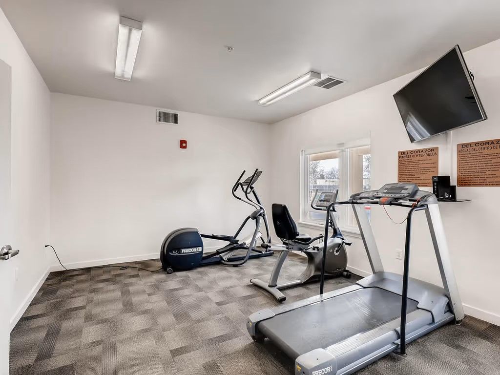 A home gym with an elliptical machine, a stationary bike, and a treadmill positioned on gray carpet beneath a wall TV.