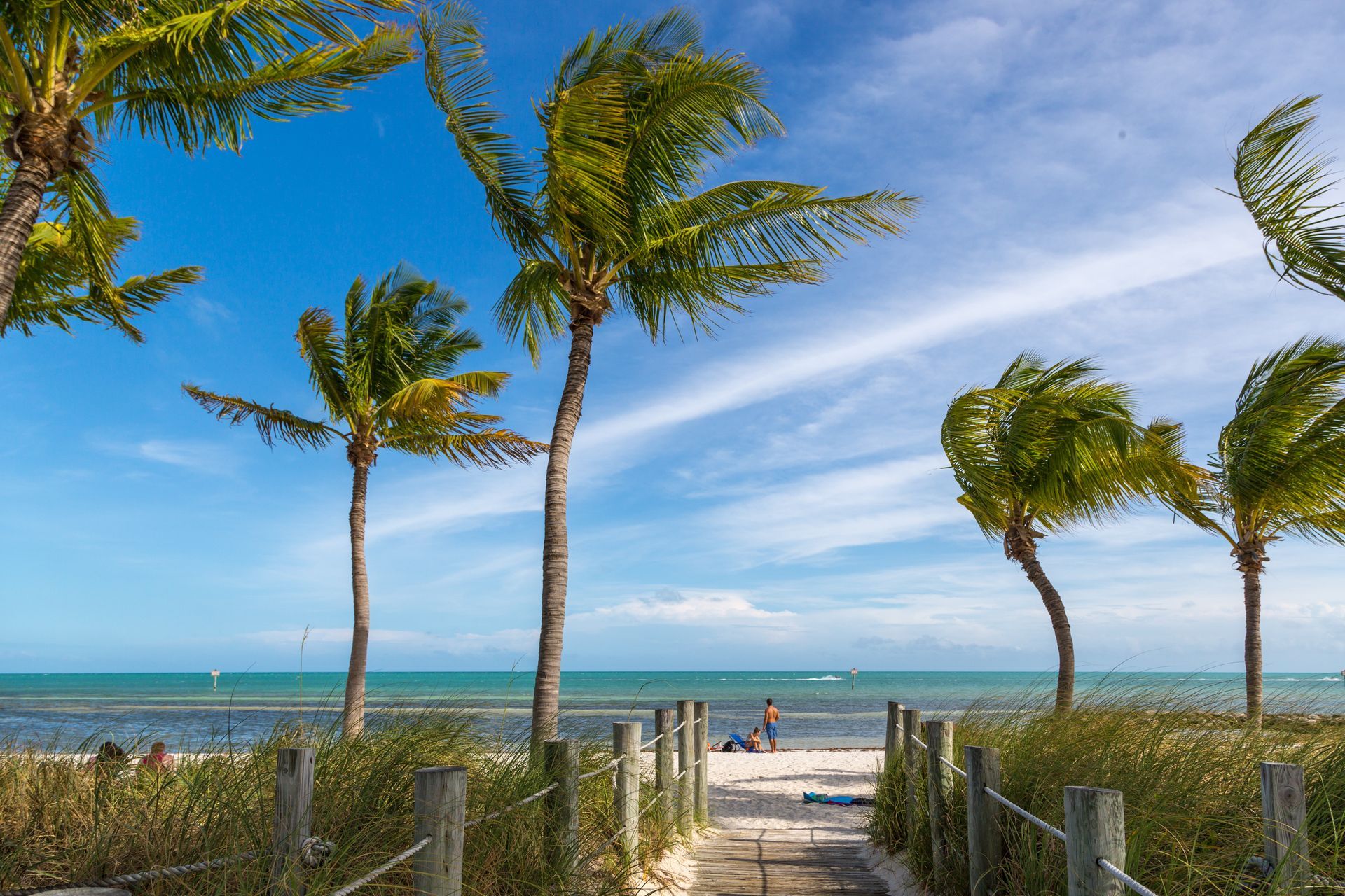 Palm trees and sandy path leading to a bright blue ocean under a clear sky