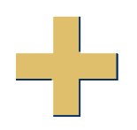 a gold plus sign on a white background .