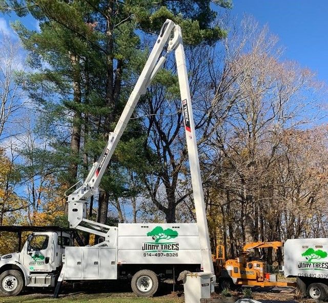 Tree Work Photos – Carmel, NY – Jimmy Trees