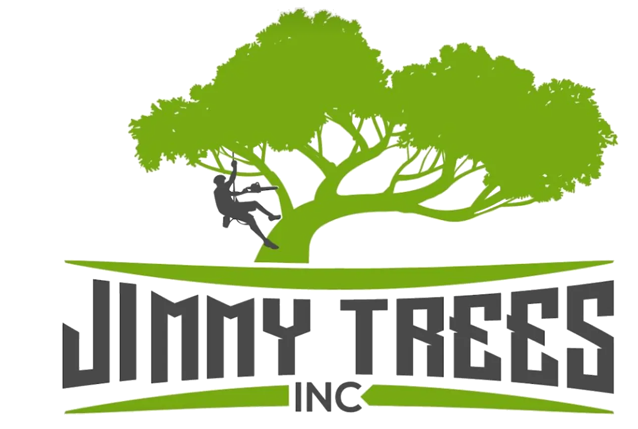 Jimmy Trees Jimmy Trees