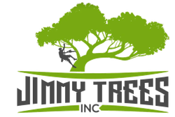 Jimmy Trees