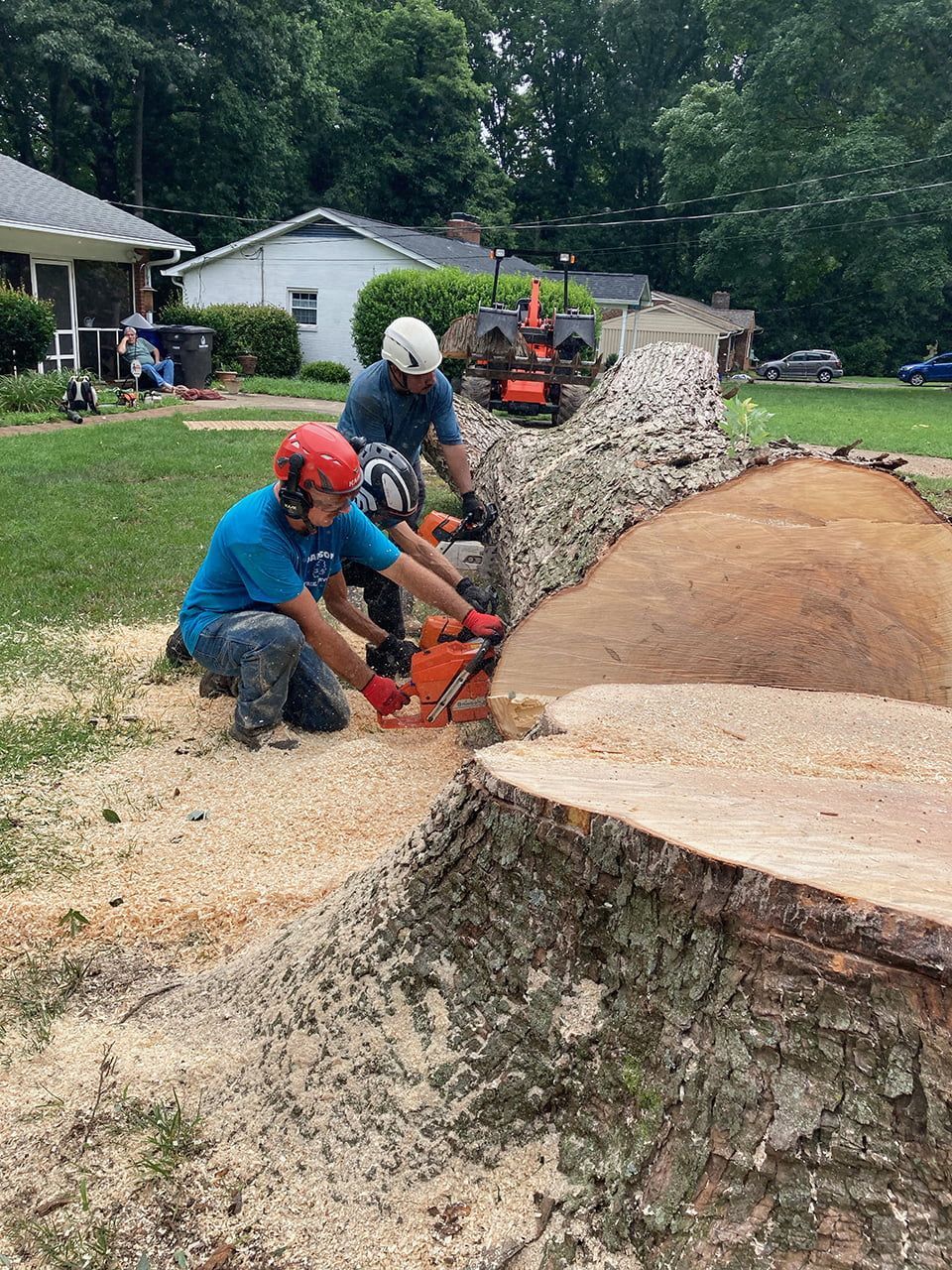 A group of men are cutting a tree stump with a chainsaw.