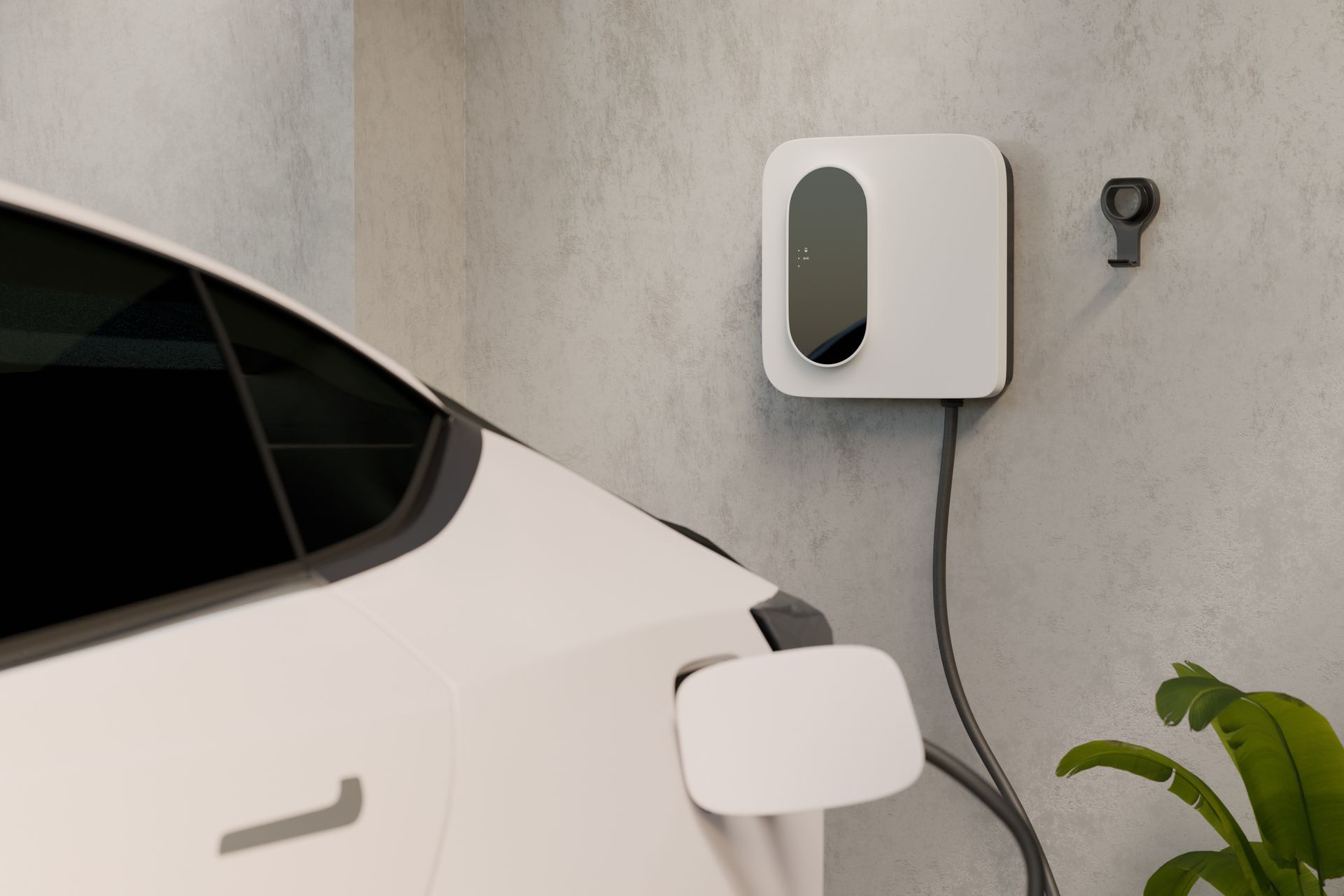 White electric car charging at a wall-mounted home charger beside a gray wall and green plant.