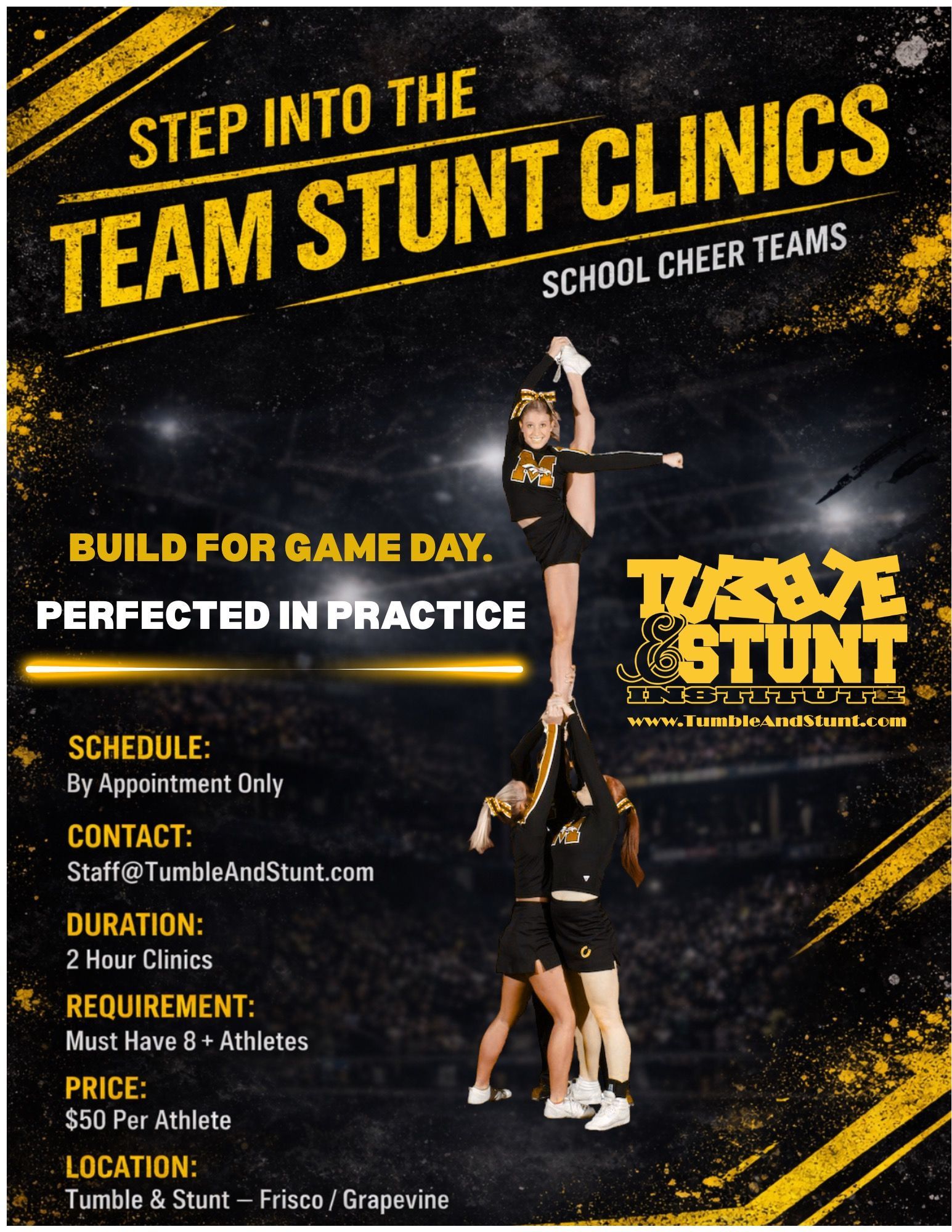 Stunt Clinic