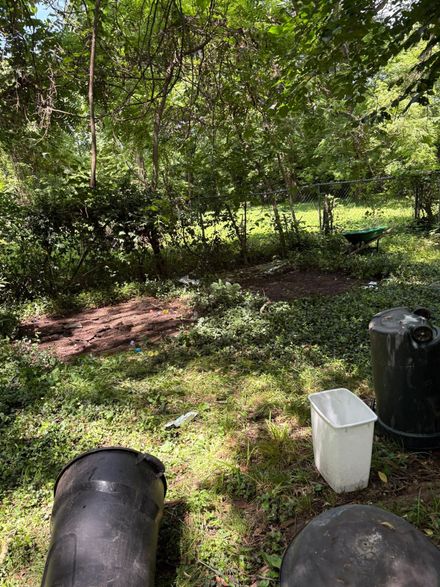 Garden with trees and grass, showing a black barrel, white bucket, and black post in the foreground.