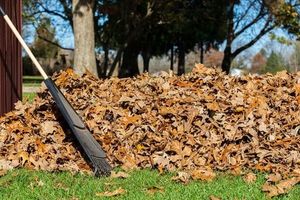 Rake leaning against a large pile of fallen leaves in a yard with trees and grass