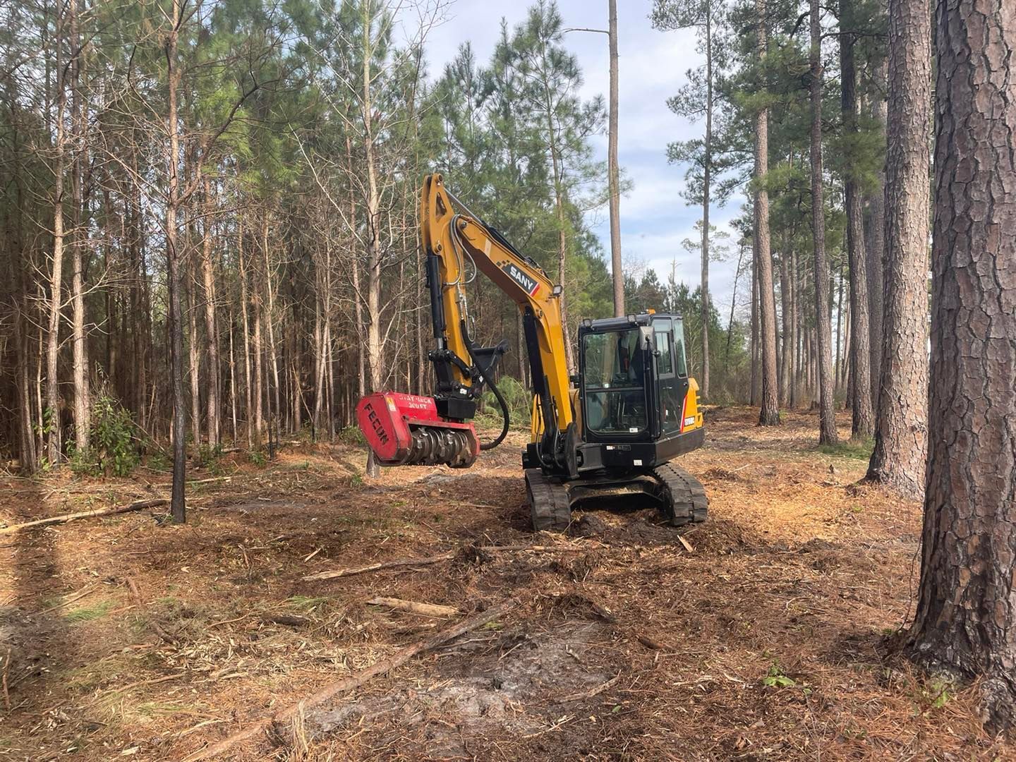 A large excavator is cutting down trees in a forest.