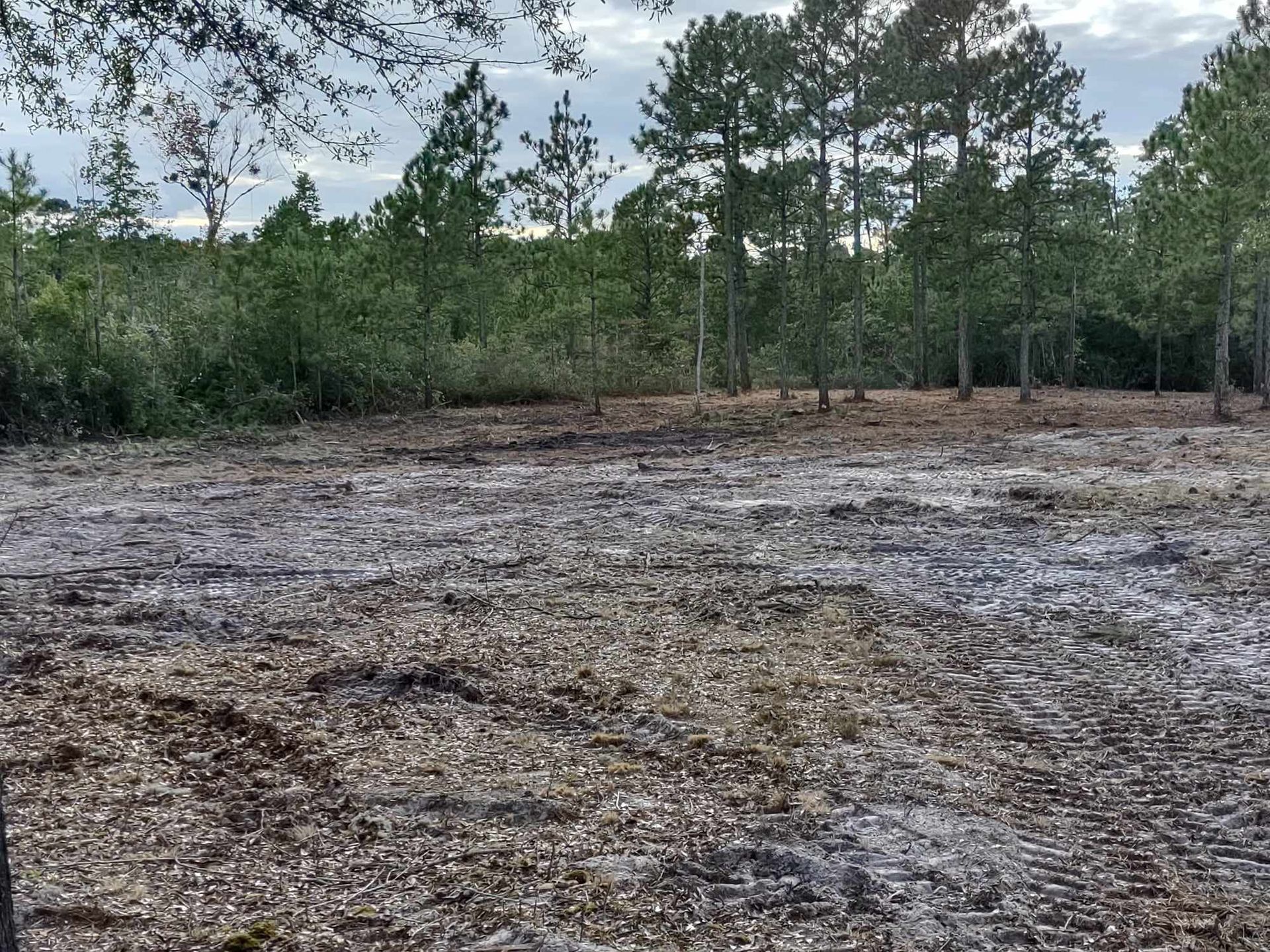 A muddy field with trees in the background and a lot of leaves on the ground.