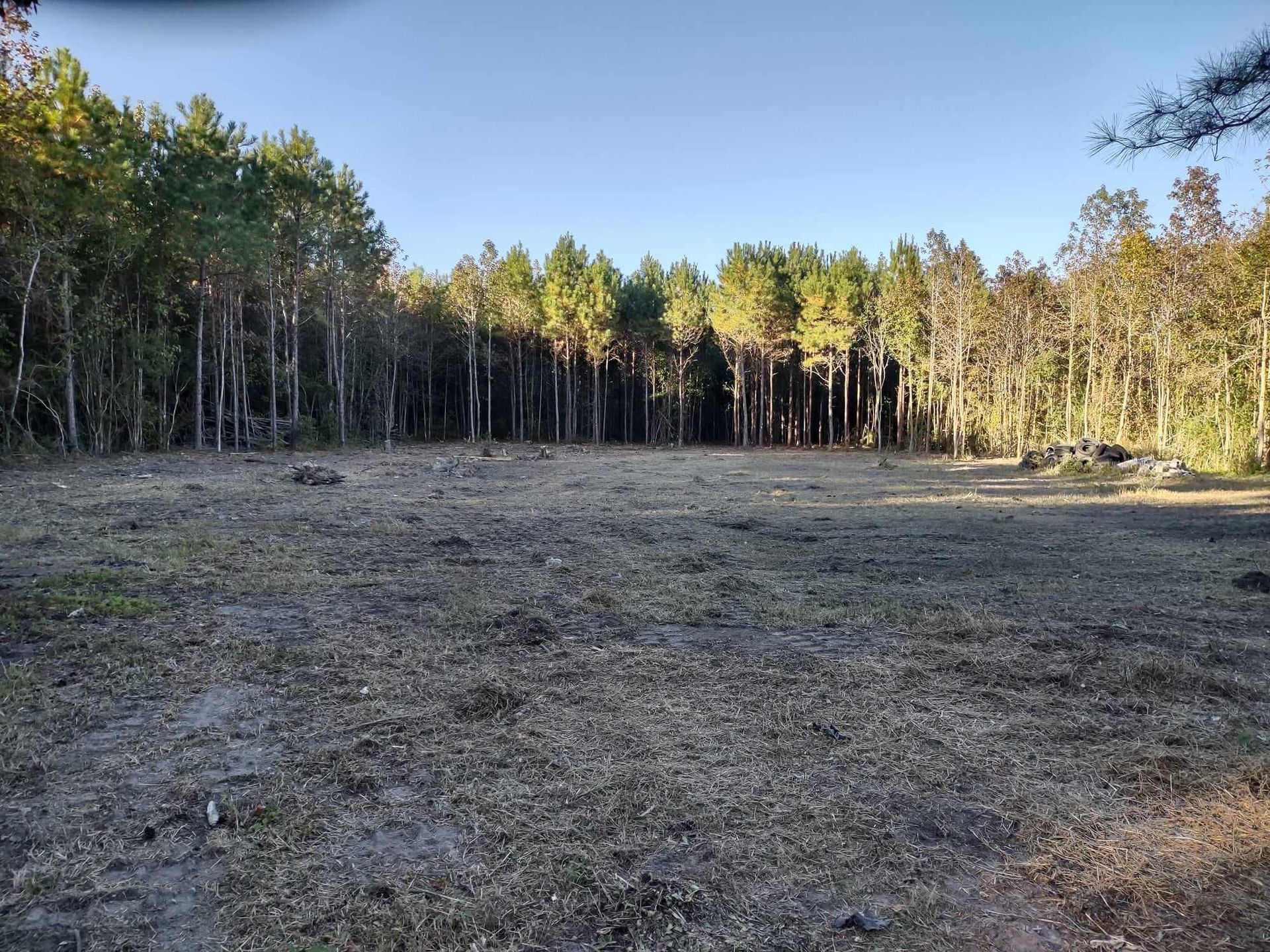 A large empty field in the middle of a forest.