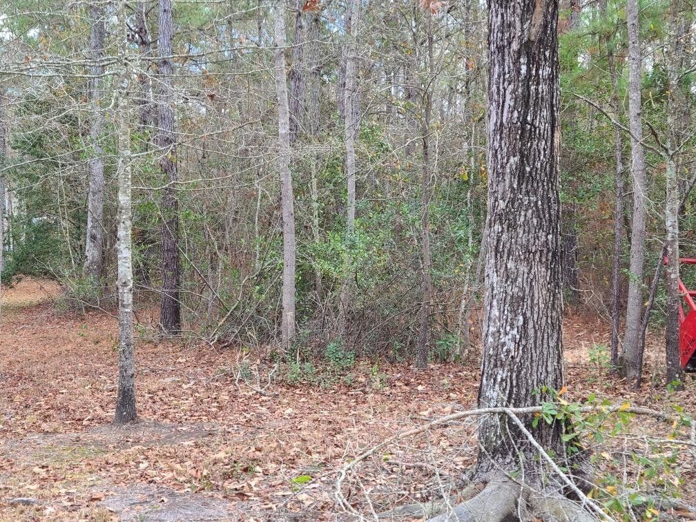 A red truck is parked in the middle of a forest next to a tree.