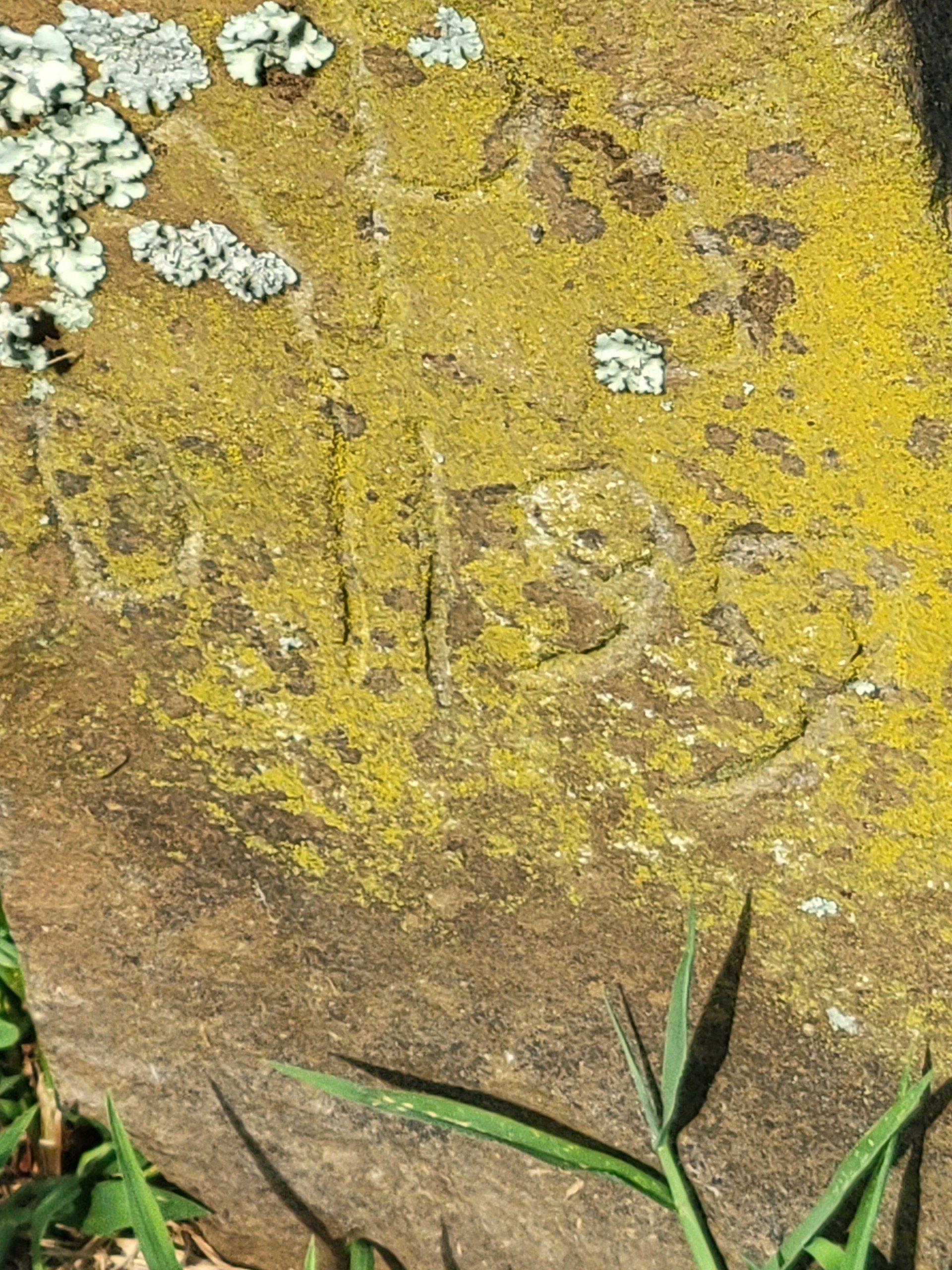 A Genealogical Mystery