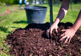 Hands mixing dark mulch in a garden bed beside a black bucket on grass
