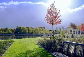 Park by a lake with green grass, autumn trees, and a small red-leafed tree under a cloudy sky.