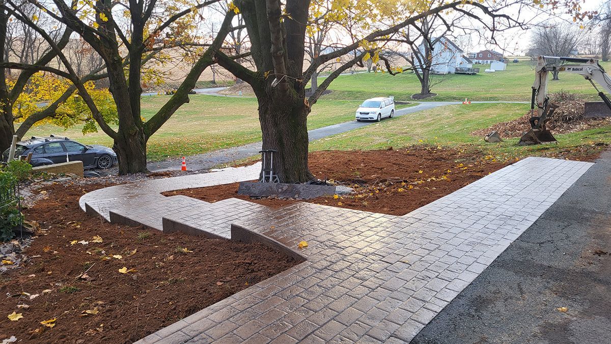 Brick patio and steps under trees in a wet park, with cars in the background