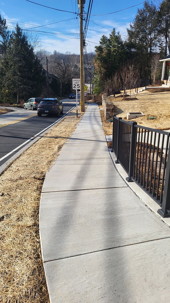 Sunny residential sidewalk beside a street, with a black fence, trees, parked cars, and utility poles.