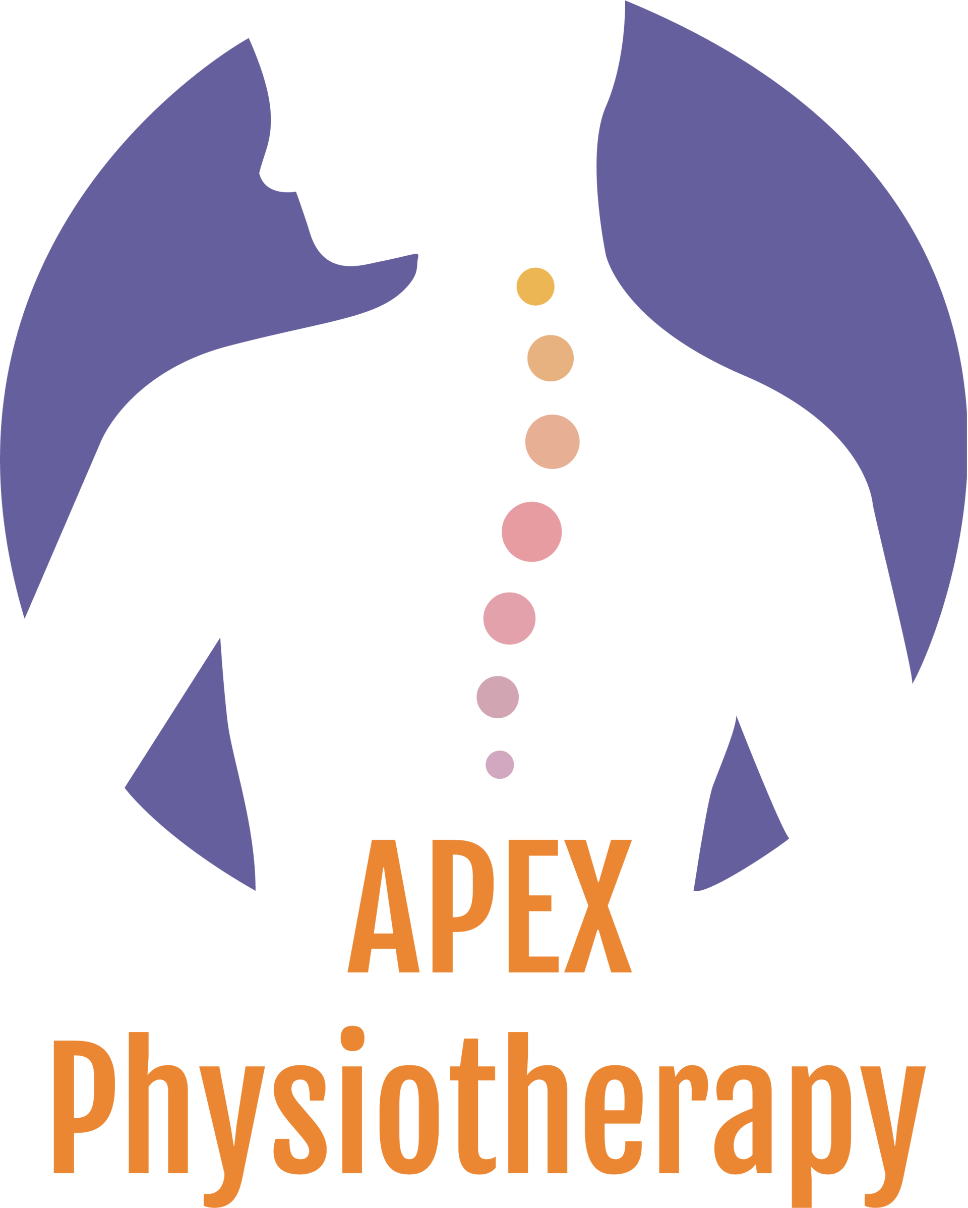 apex physiotherapy