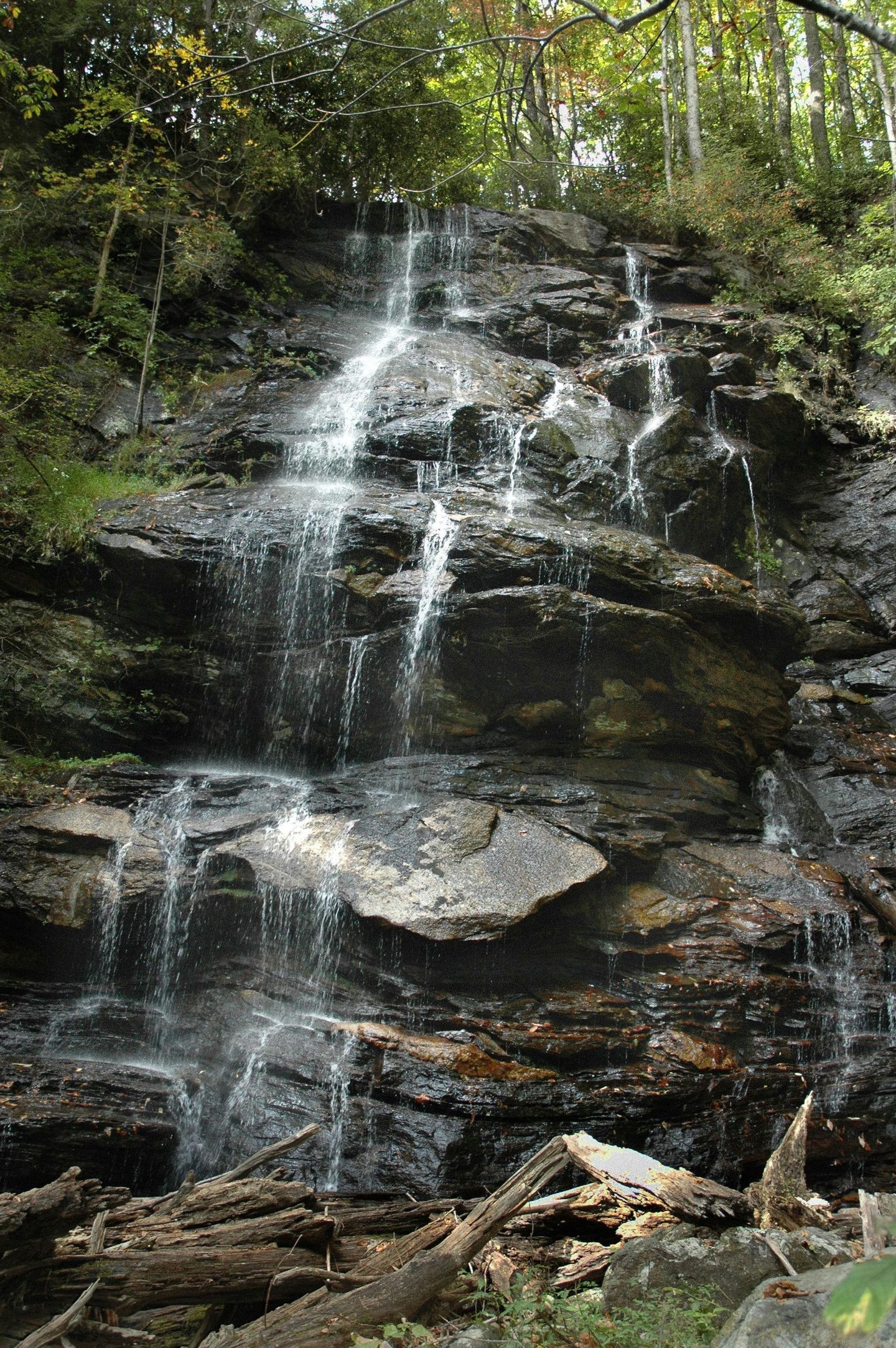 A waterfall is surrounded by rocks and trees in the woods in Greenville NC.