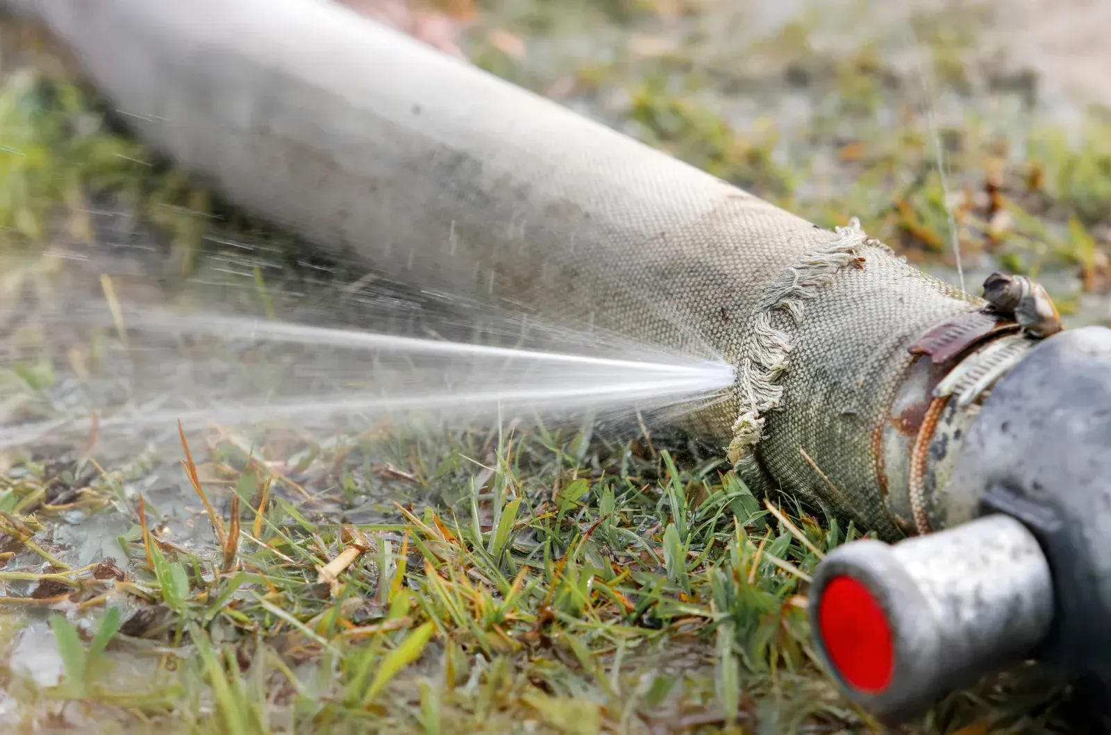 Leaking pipe in grass, water spraying. Grey pipe with white insulation, red cap on the end.