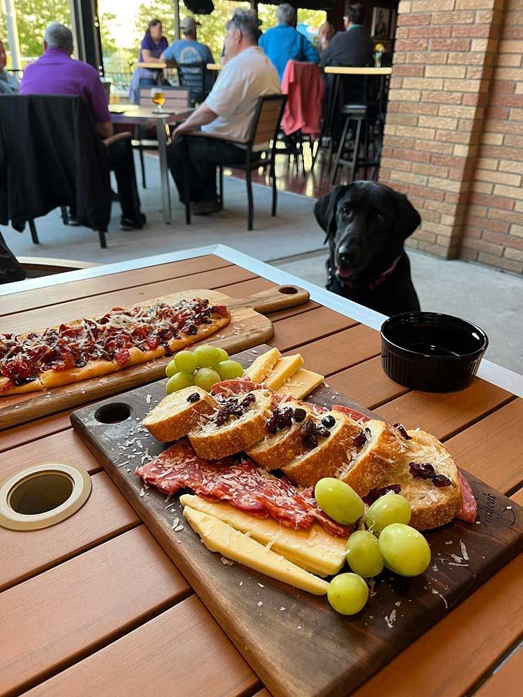 bring your pooch