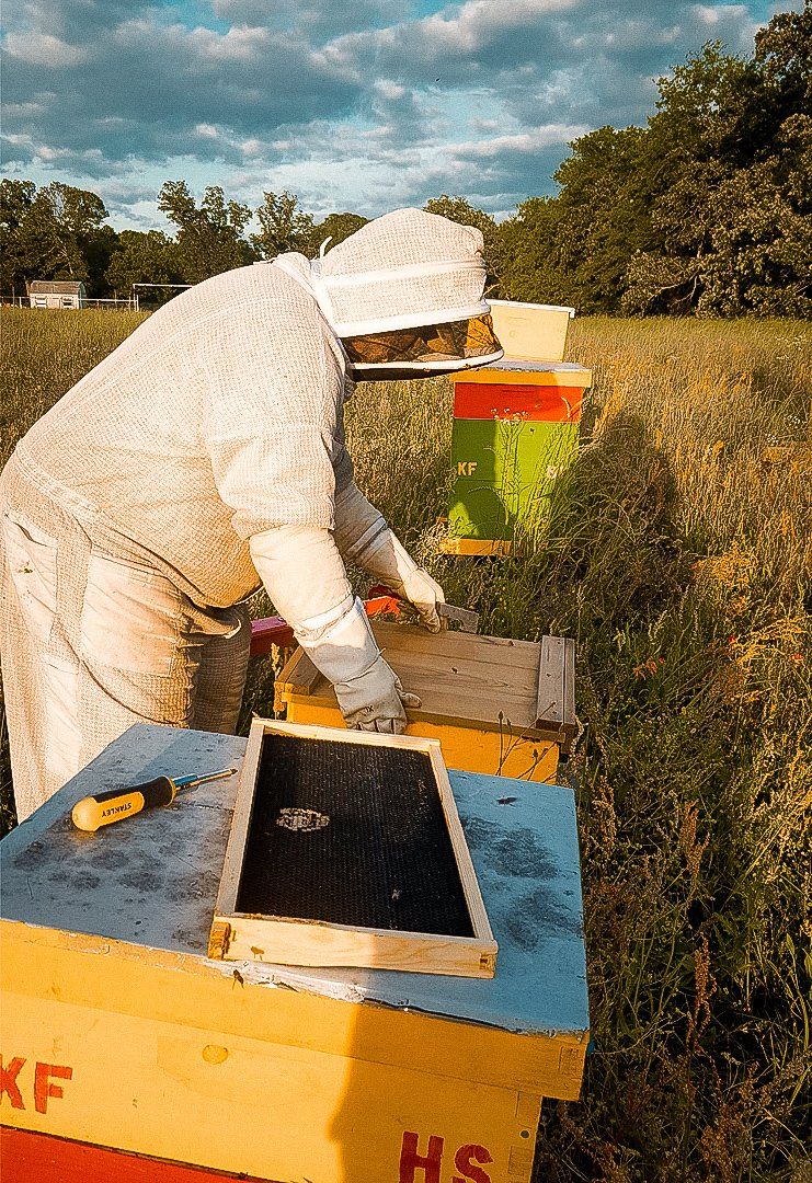 beekeeper at work