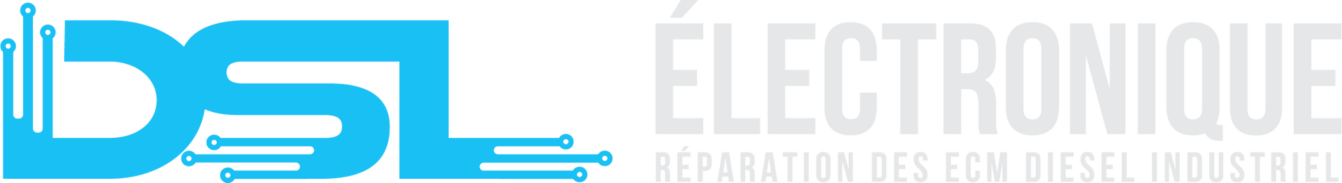 DSL Electronics logo