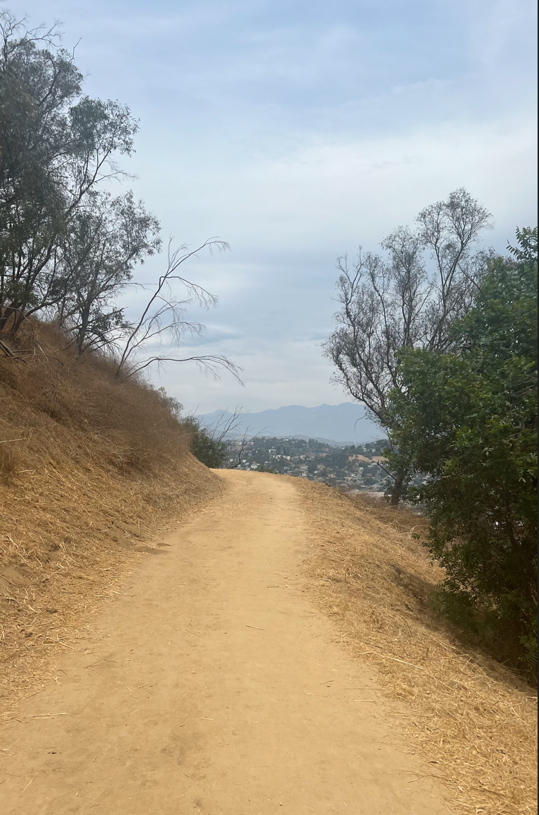 Does Walking Tone your Legs - RoseMotivates