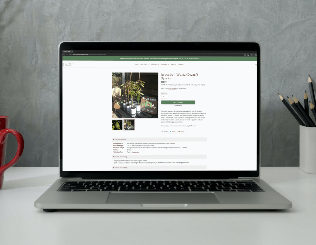 Ecommerce Online Store
