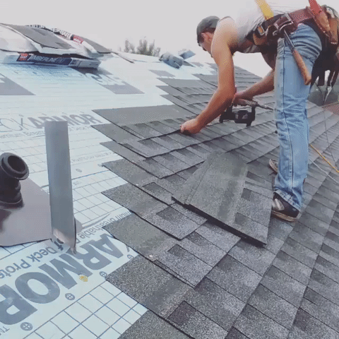 Roofer installing gray shingles on a roof. Blue underlayment visible. Man uses a tool while working.