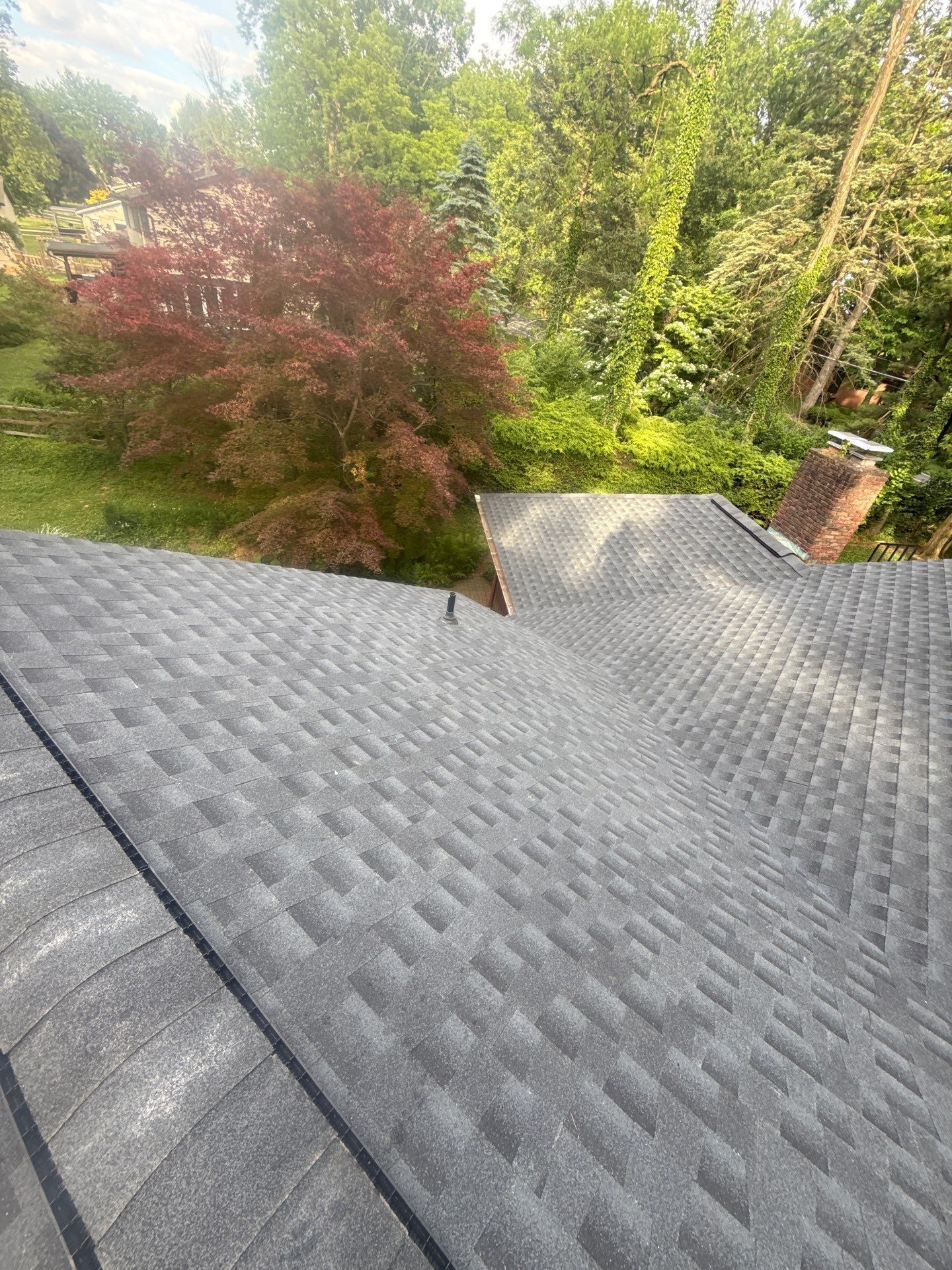 Gray shingled roof overlooking a green backyard with a red bush and trees