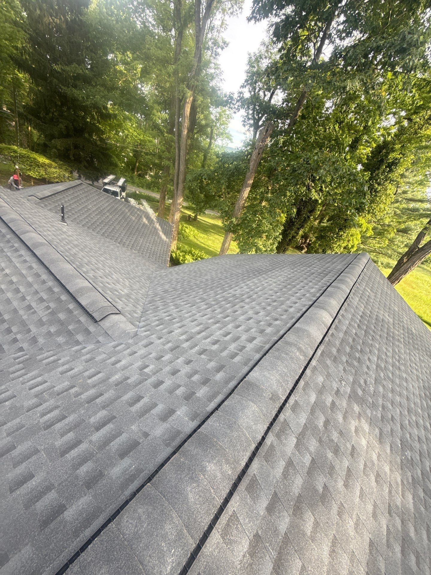 View from a shingled roof surrounded by trees and a green wooded hillside