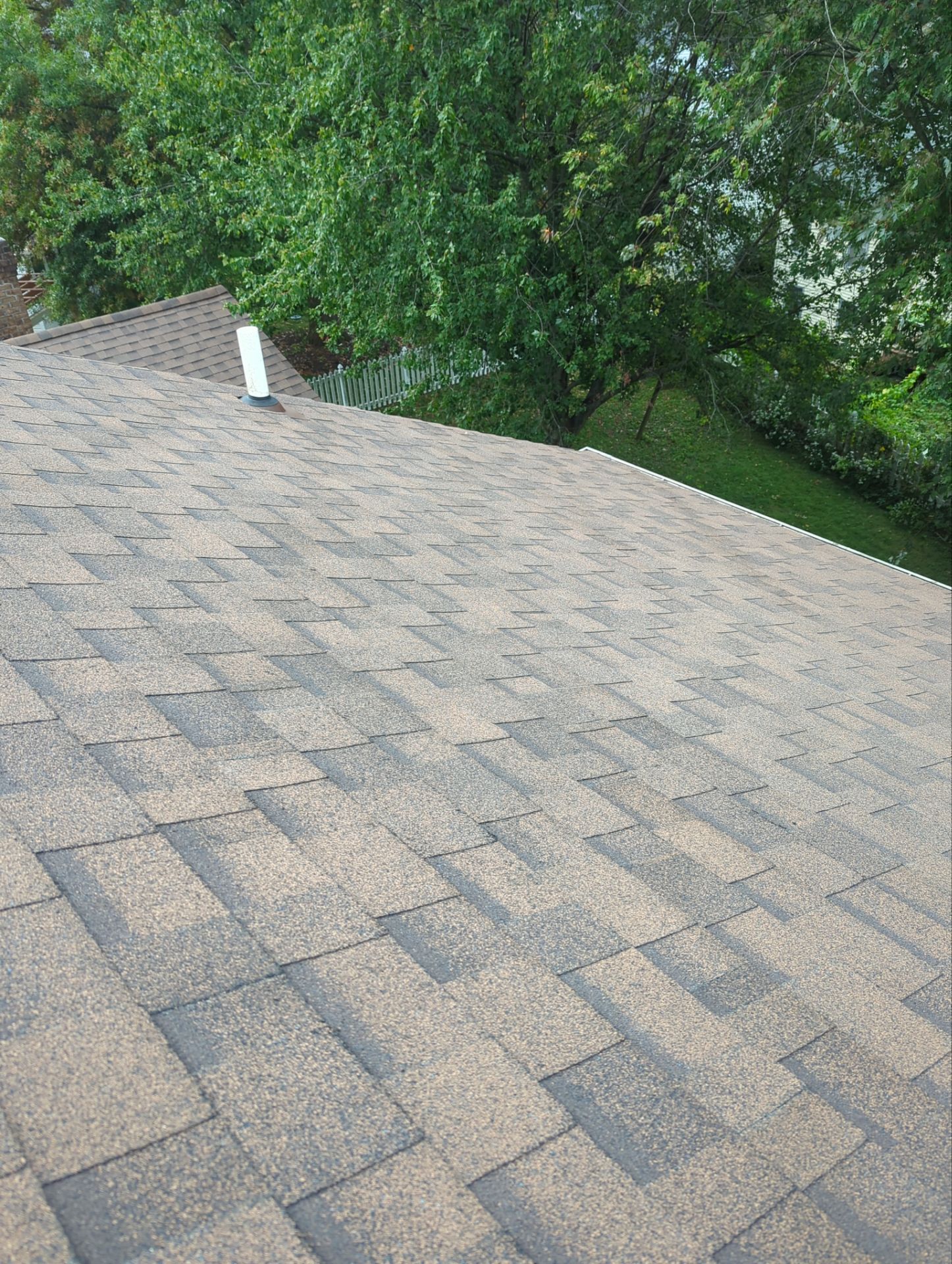 Gray shingled roof with a vent pipe, bordered by green trees and grass