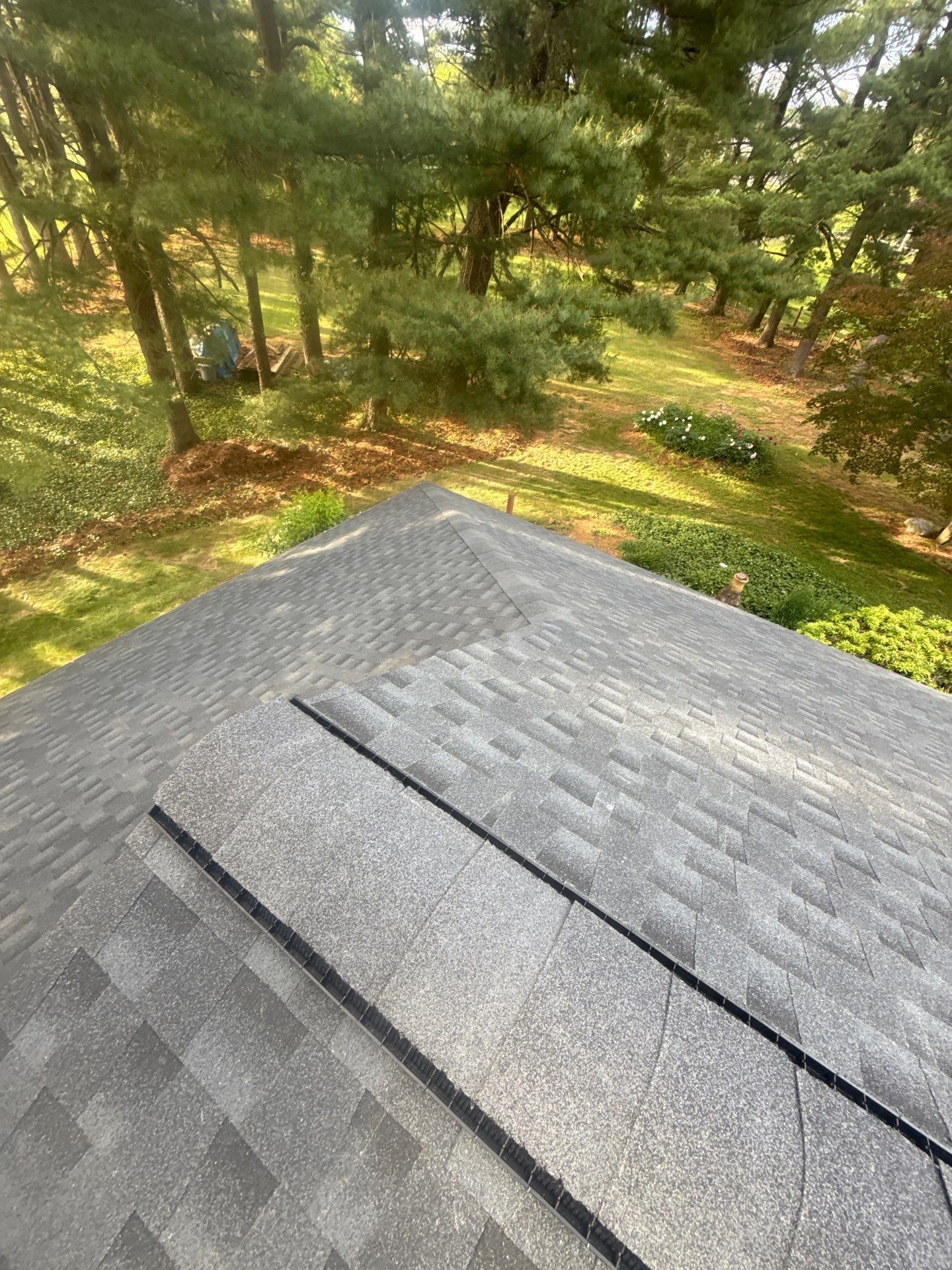 Gray shingled roof edge overlooking a sunlit wooded yard with pine trees