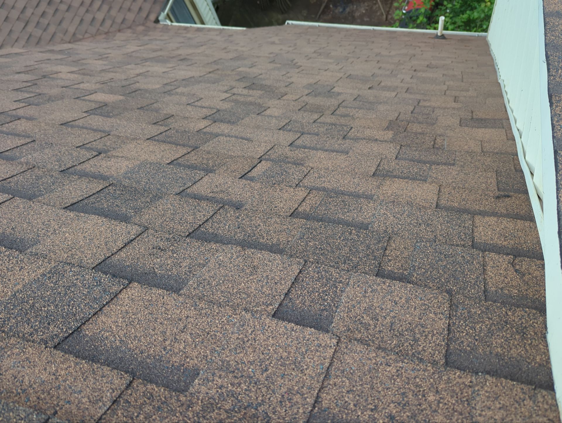 Brown shingled roof with a white wall and greenery at the edge