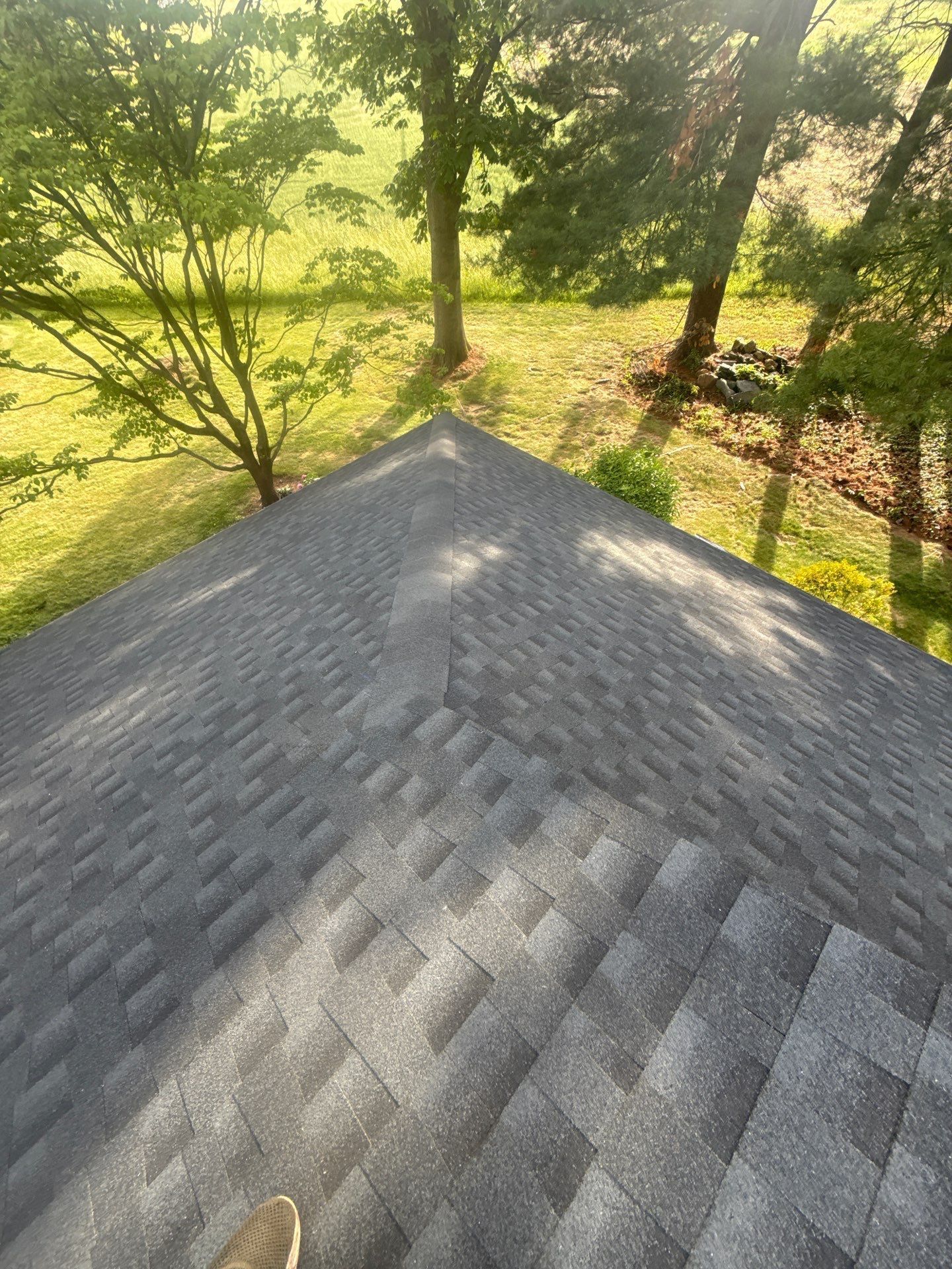 View from a roof over a sunlit green yard with trees and shadows.