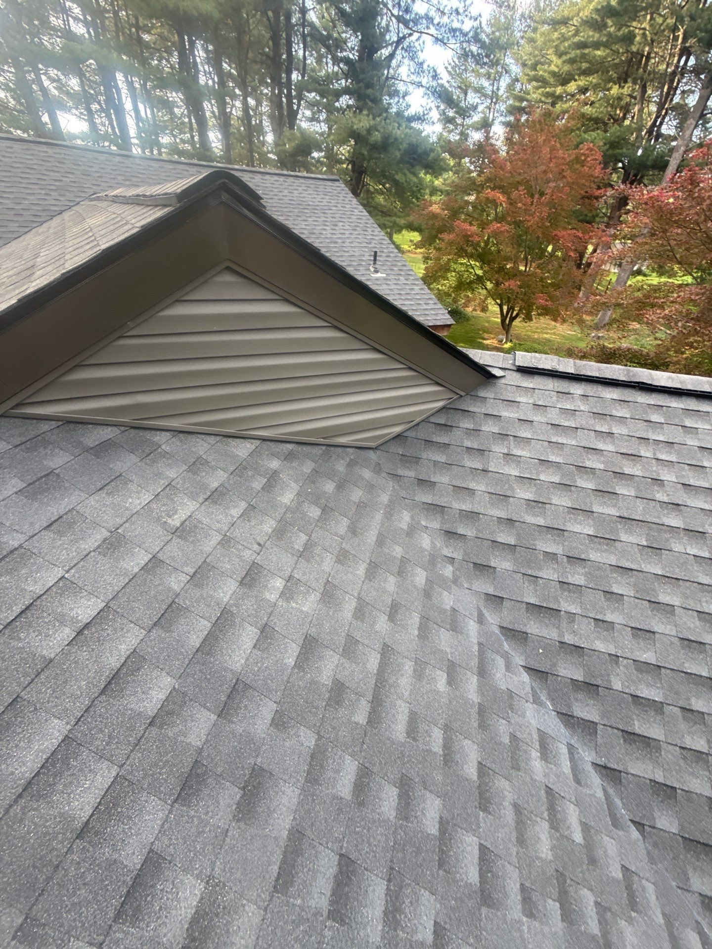 Roof shingles with a dormer vent and trees in the background