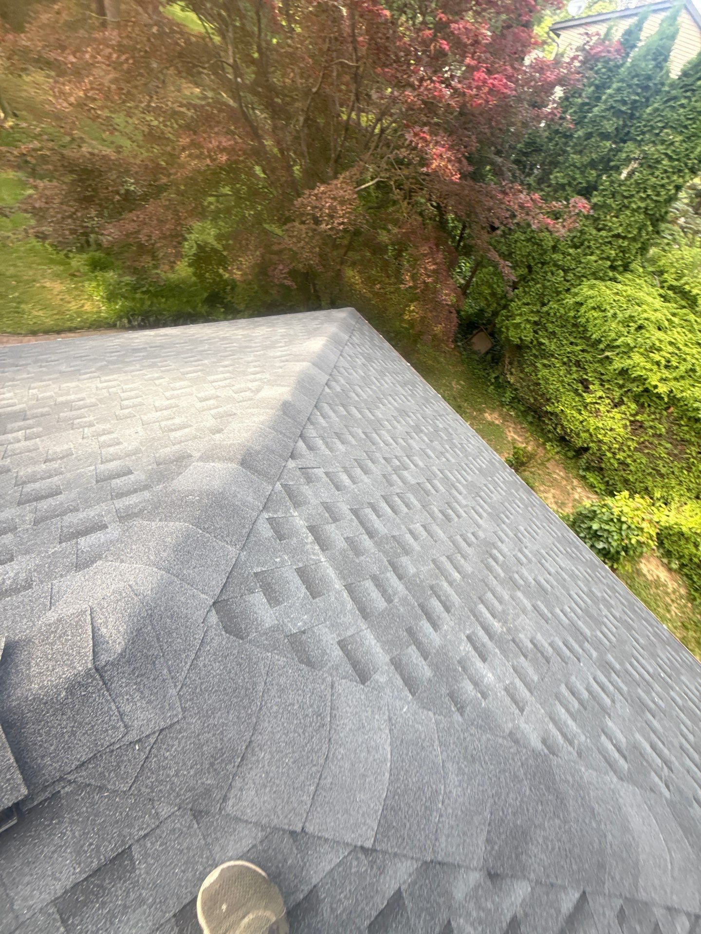 Gray shingled roof with trees and greenery around it on a sunny day