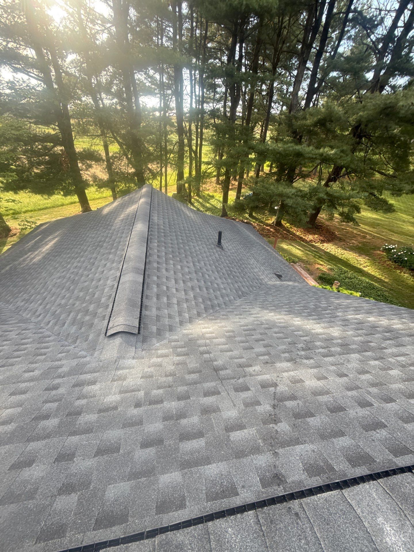 Shingled roof with ridge vent among tall trees in a wooded yard