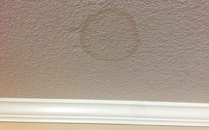 Water-damaged ceiling corner with peeling paint, showing brown staining and a hole.