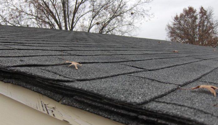 Close-up of a dark gray shingle roof with some leaves on it. Bare trees in the background.