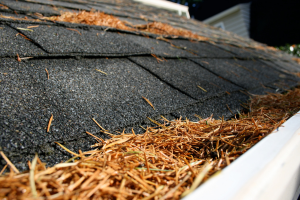 Gutter Clogging