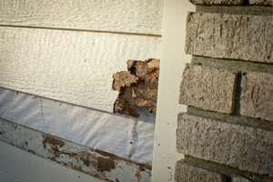 Water-stained ceiling in a kitchen, brown spots against white paint, above dark gray cabinets.