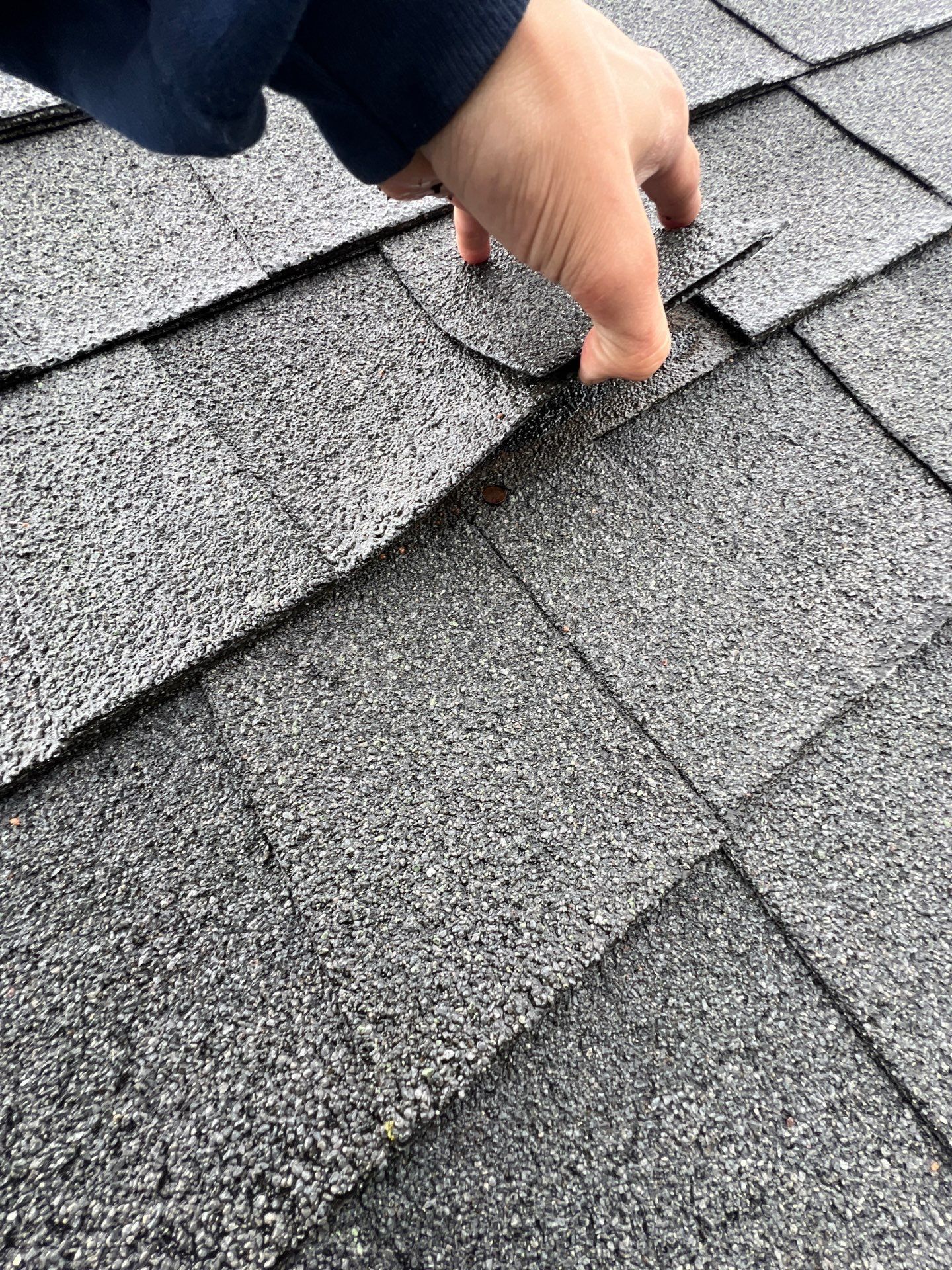 Close-up of lifted asphalt shingles exposing a roofing nail beneath the shingle tab during a roof inspection.