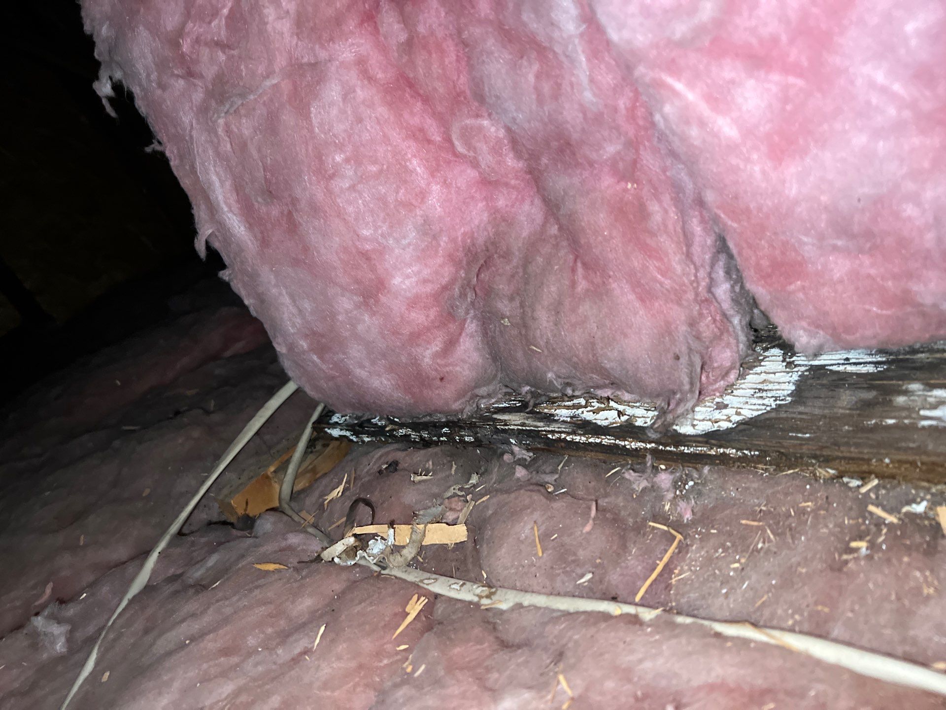 Attic roof inspection and moisture assessment on Craftsman Road in Eagleville, PA